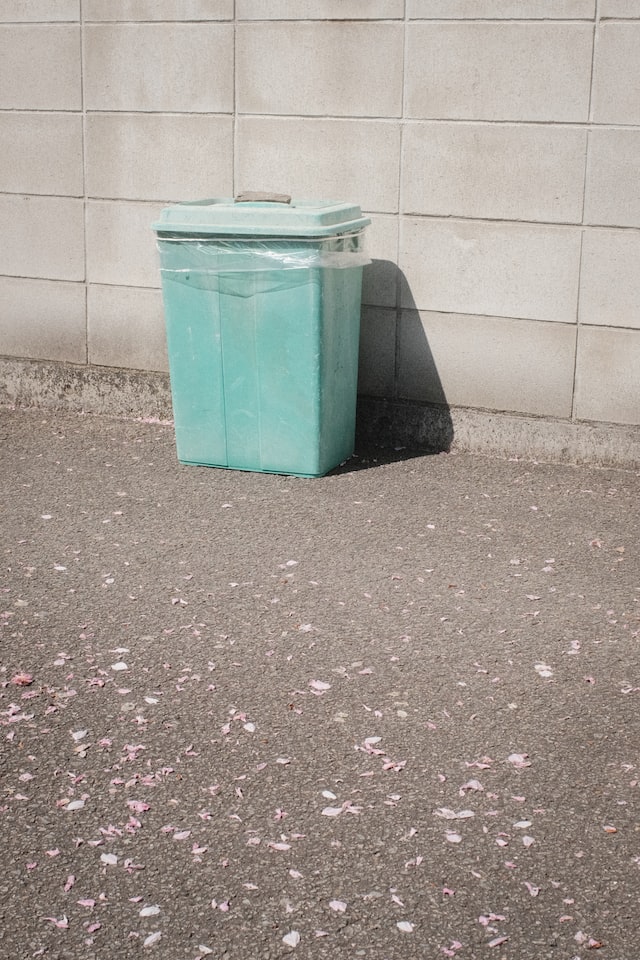 lonely blue dumpster